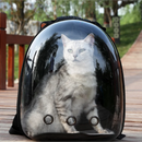 Mochila transportadora transpirable para mascotas – Viaje seguro para gatos